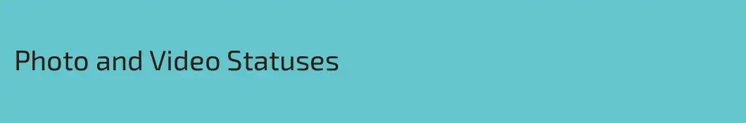 Photo and Video Statuses